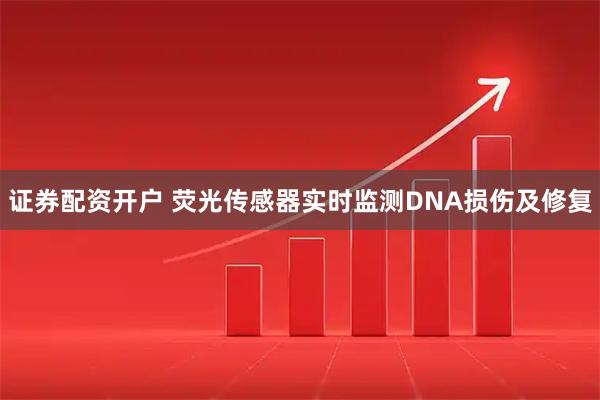 证券配资开户 荧光传感器实时监测DNA损伤及修复