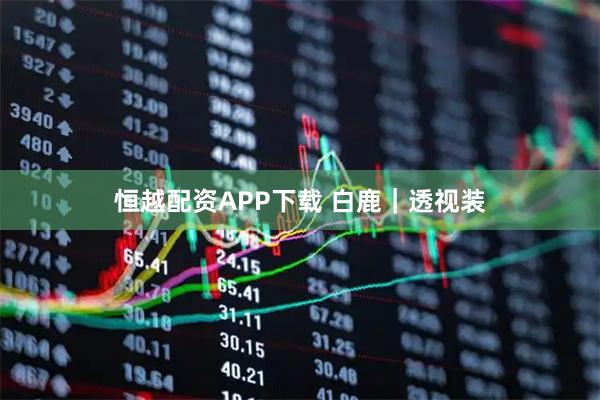 恒越配资APP下载 白鹿｜透视装