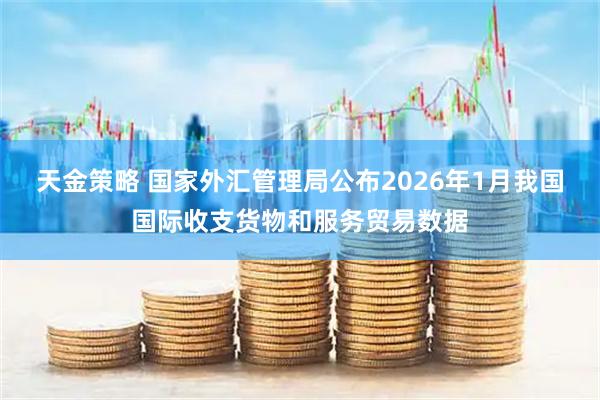 天金策略 国家外汇管理局公布2026年1月我国国际收支货物和服务贸易数据
