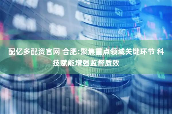 配亿多配资官网 合肥:聚焦重点领域关键环节 科技赋能增强监督质效